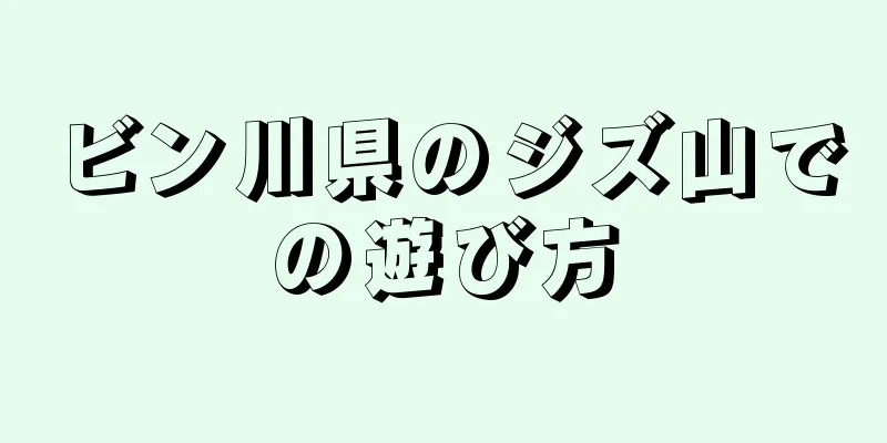 ビン川県のジズ山での遊び方