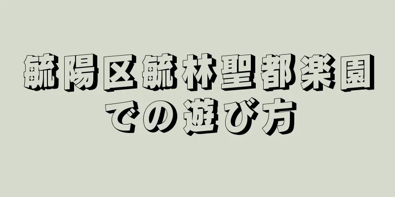 毓陽区毓林聖都楽園での遊び方