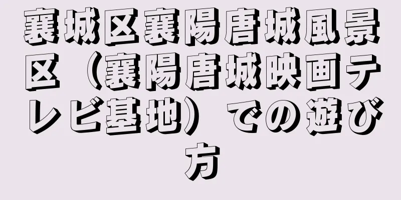襄城区襄陽唐城風景区（襄陽唐城映画テレビ基地）での遊び方
