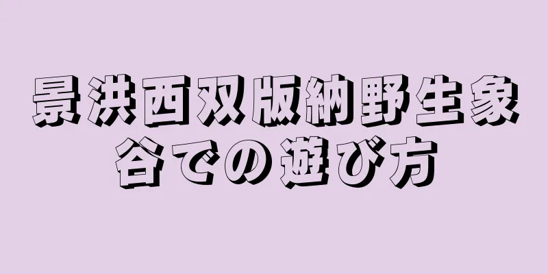 景洪西双版納野生象谷での遊び方