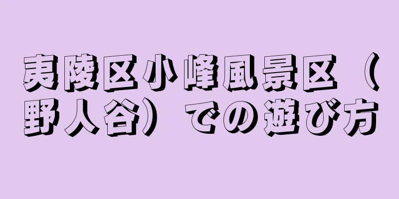 夷陵区小峰風景区（野人谷）での遊び方