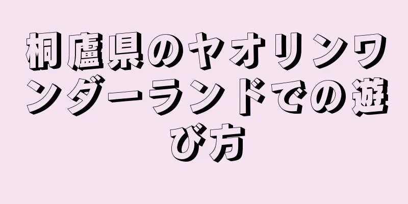 桐廬県のヤオリンワンダーランドでの遊び方