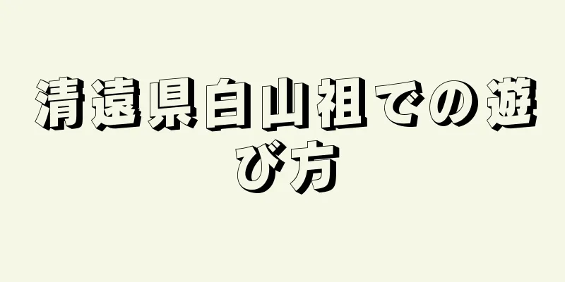 清遠県白山祖での遊び方