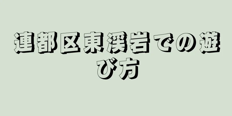 連都区東渓岩での遊び方