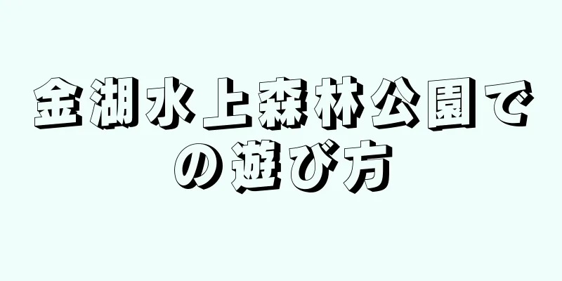 金湖水上森林公園での遊び方