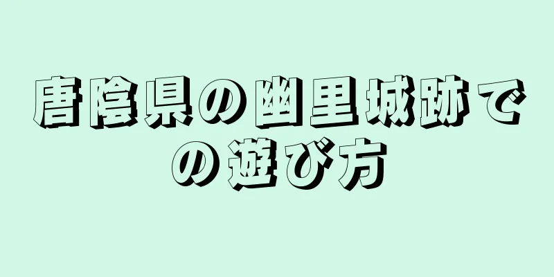 唐陰県の幽里城跡での遊び方