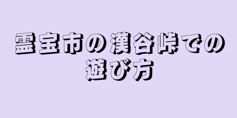 霊宝市の漢谷峠での遊び方