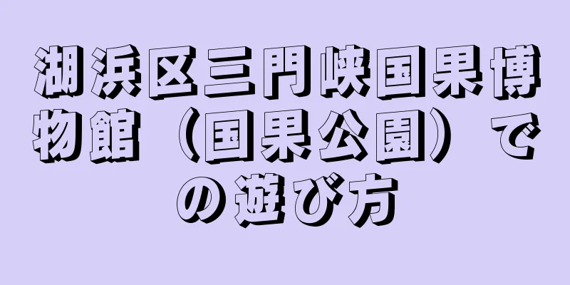 湖浜区三門峡国果博物館（国果公園）での遊び方