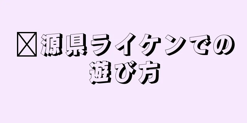 婺源県ライケンでの遊び方