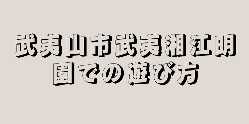 武夷山市武夷湘江明園での遊び方