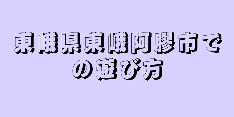 東峨県東峨阿膠市での遊び方