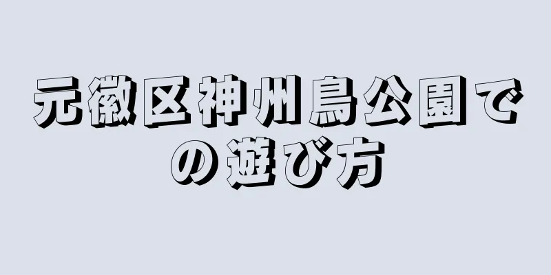 元徽区神州鳥公園での遊び方