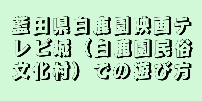 藍田県白鹿園映画テレビ城（白鹿園民俗文化村）での遊び方
