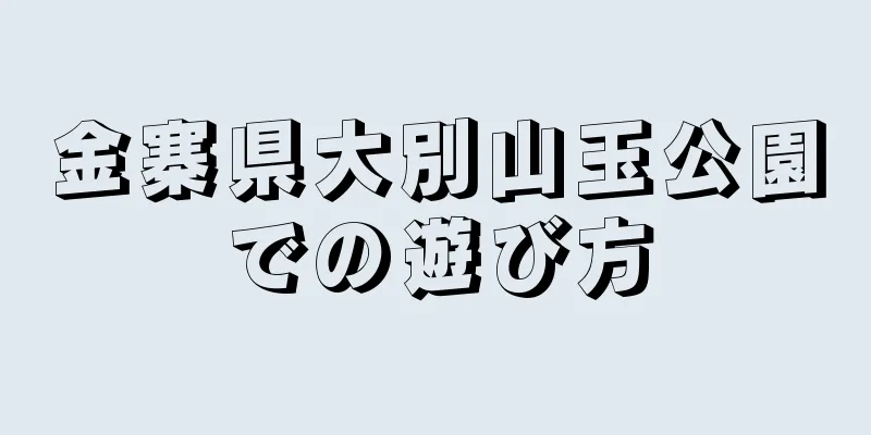金寨県大別山玉公園での遊び方