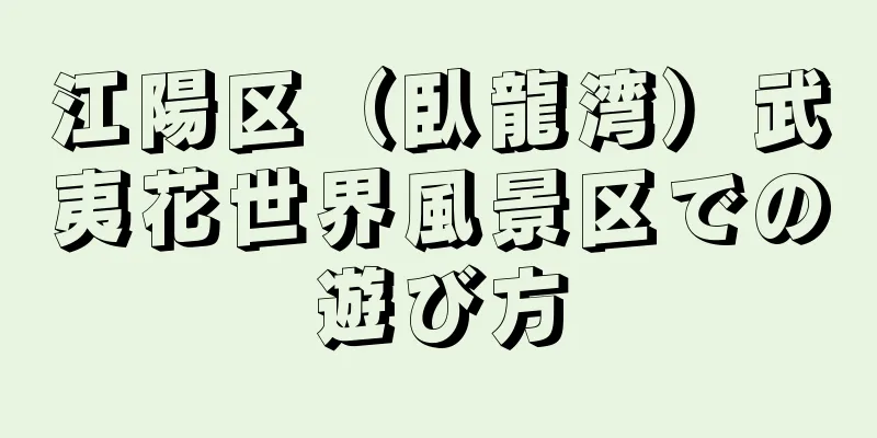 江陽区（臥龍湾）武夷花世界風景区での遊び方