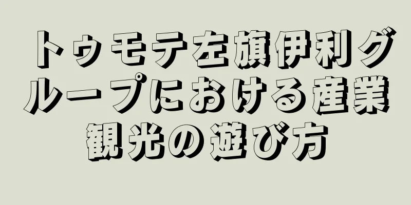 トゥモテ左旗伊利グループにおける産業観光の遊び方