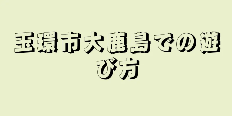 玉環市大鹿島での遊び方