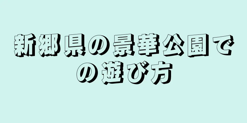 新郷県の景華公園での遊び方