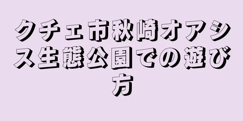 クチェ市秋崎オアシス生態公園での遊び方