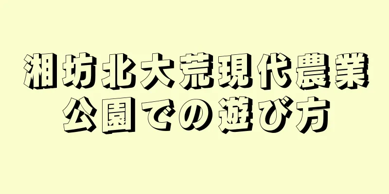 湘坊北大荒現代農業公園での遊び方