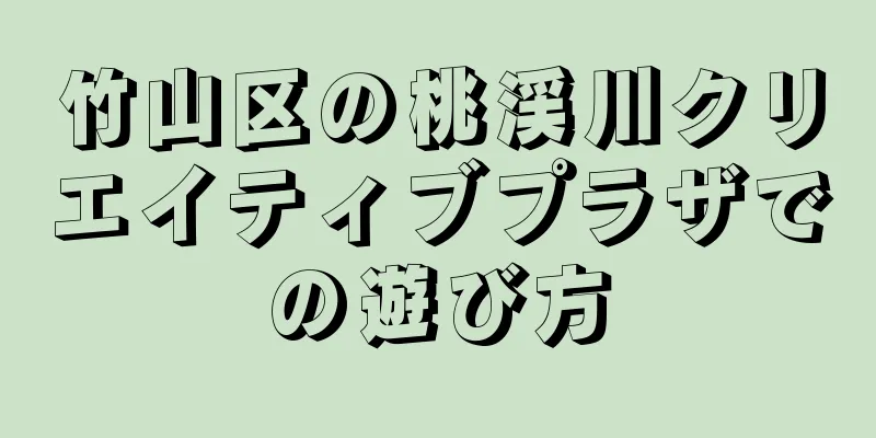 竹山区の桃渓川クリエイティブプラザでの遊び方