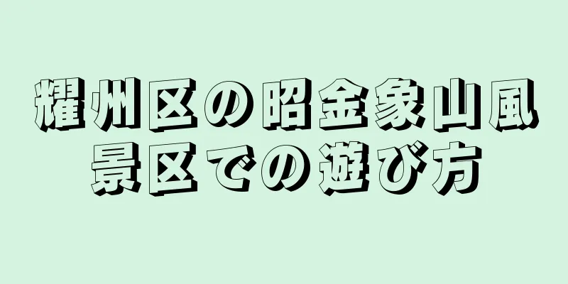耀州区の昭金象山風景区での遊び方