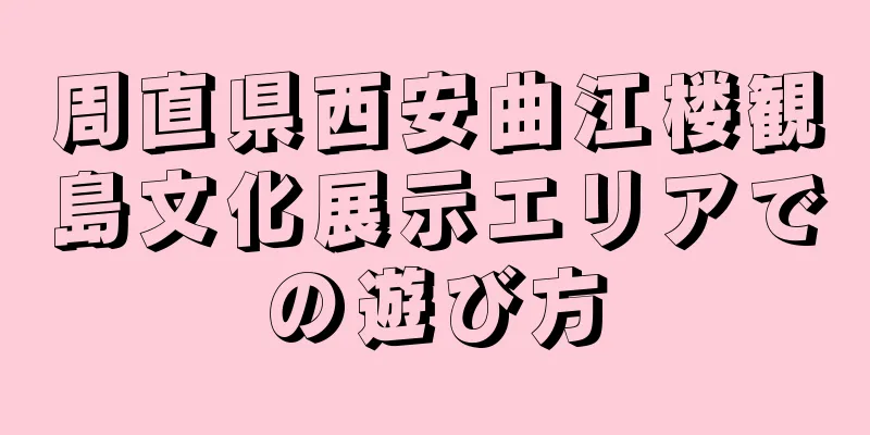 周直県西安曲江楼観島文化展示エリアでの遊び方