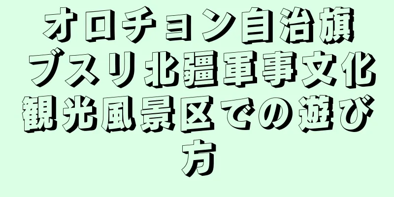 オロチョン自治旗ブスリ北疆軍事文化観光風景区での遊び方