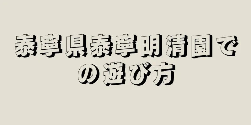 泰寧県泰寧明清園での遊び方