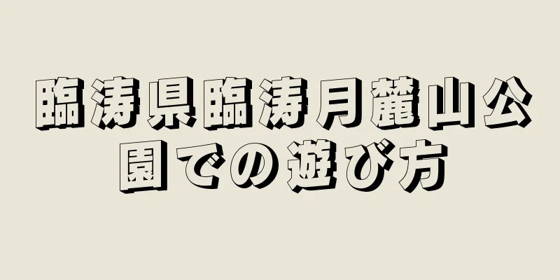 臨涛県臨涛月麓山公園での遊び方