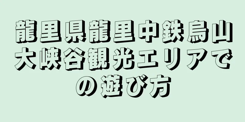 龍里県龍里中鉄烏山大峡谷観光エリアでの遊び方