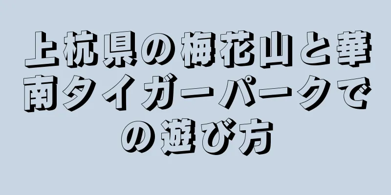 上杭県の梅花山と華南タイガーパークでの遊び方