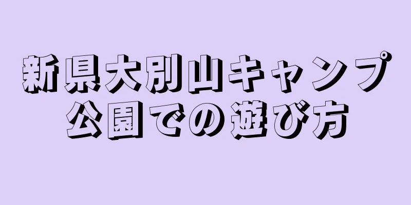 新県大別山キャンプ公園での遊び方