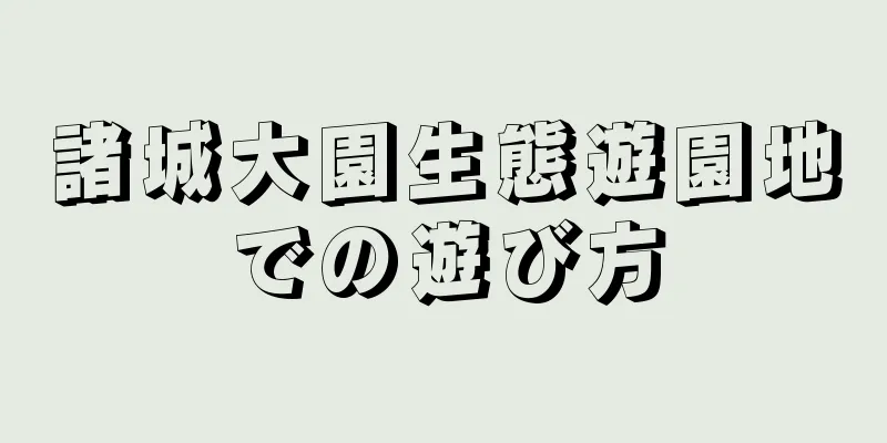 諸城大園生態遊園地での遊び方