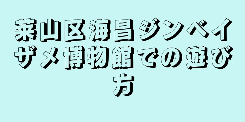 莱山区海昌ジンベイザメ博物館での遊び方