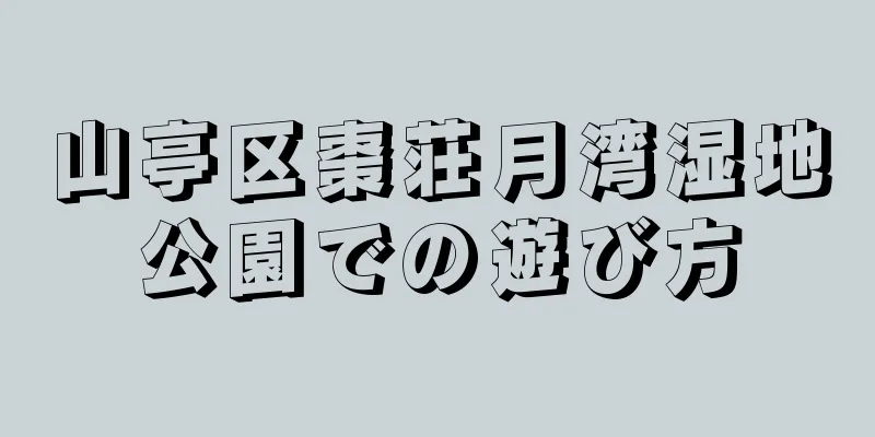 山亭区棗荘月湾湿地公園での遊び方