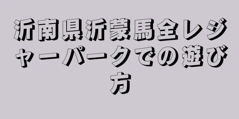 沂南県沂蒙馬全レジャーパークでの遊び方