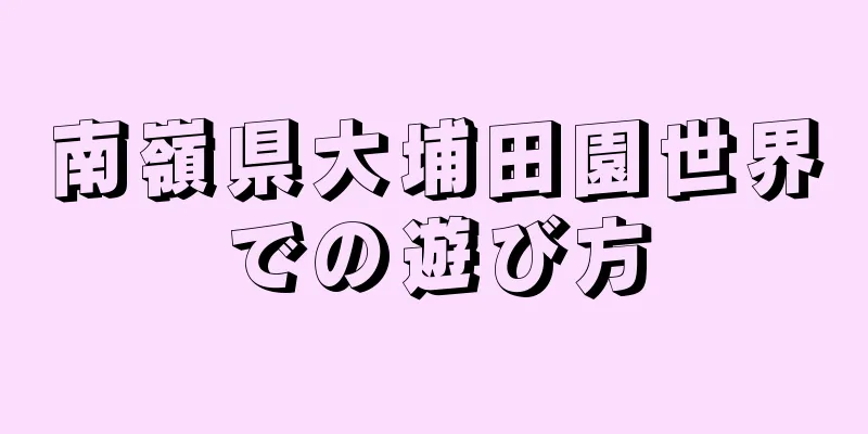 南嶺県大埔田園世界での遊び方