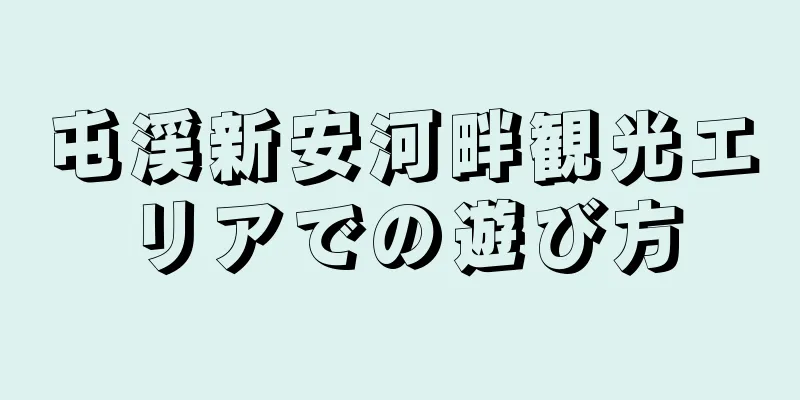 屯渓新安河畔観光エリアでの遊び方