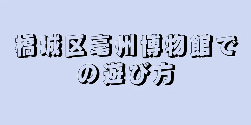 橋城区亳州博物館での遊び方