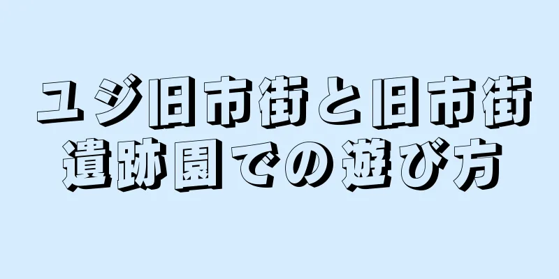 ユジ旧市街と旧市街遺跡園での遊び方