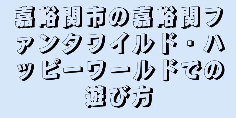 嘉峪関市の嘉峪関ファンタワイルド・ハッピーワールドでの遊び方