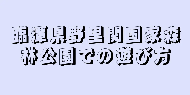 臨潭県野里関国家森林公園での遊び方