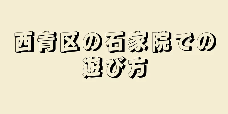 西青区の石家院での遊び方
