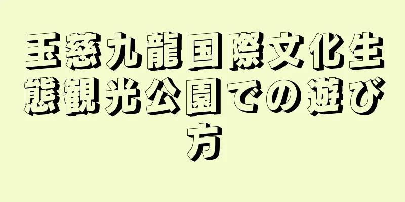 玉慈九龍国際文化生態観光公園での遊び方