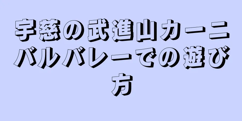 宇慈の武進山カーニバルバレーでの遊び方