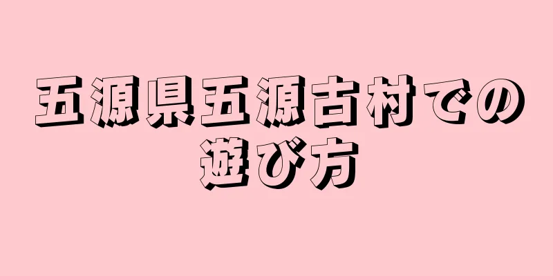五源県五源古村での遊び方