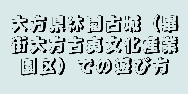 大方県沐閣古城（畢街大方古夷文化産業園区）での遊び方