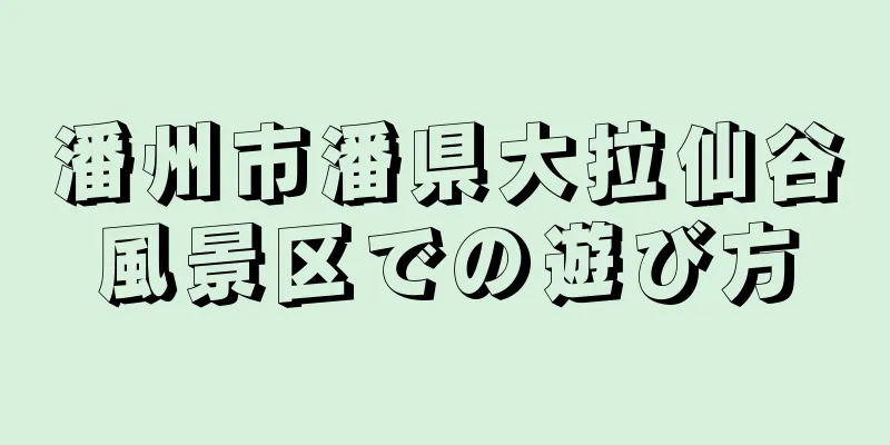 潘州市潘県大拉仙谷風景区での遊び方
