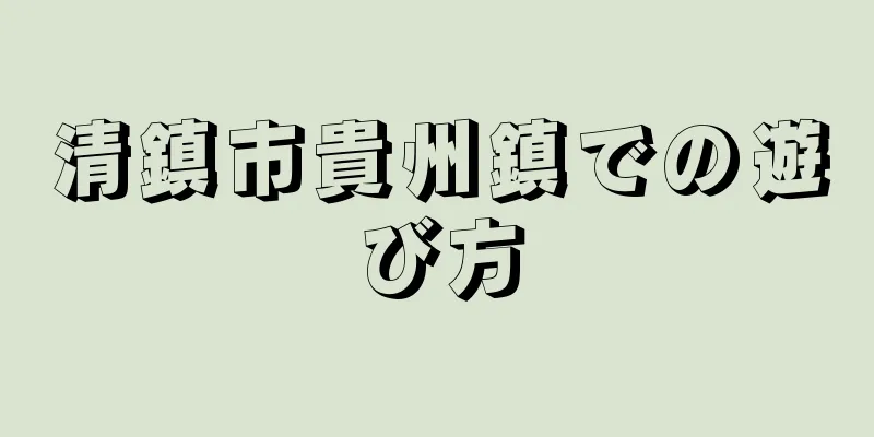 清鎮市貴州鎮での遊び方